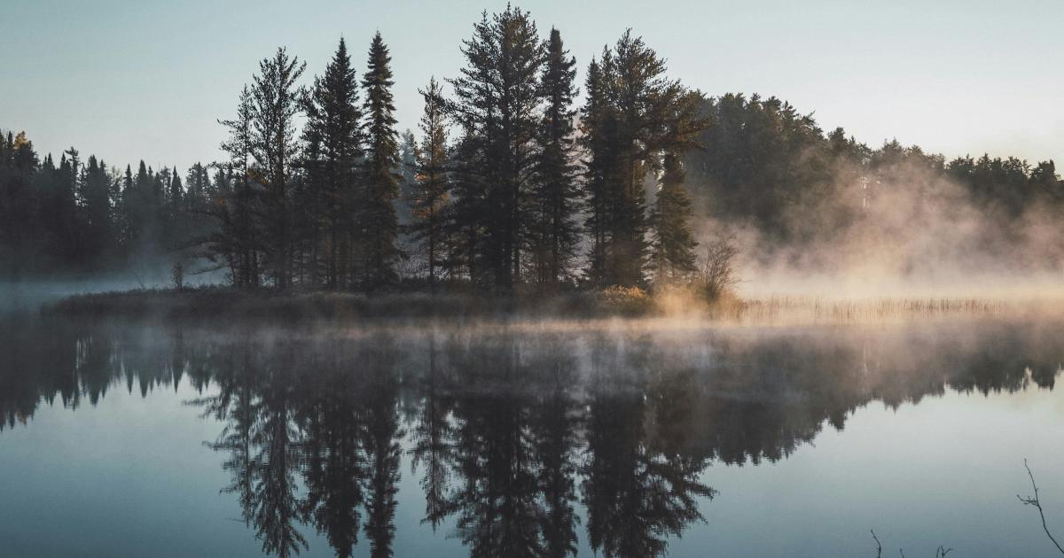 Mastering Agentic AI: The Reflection Pattern